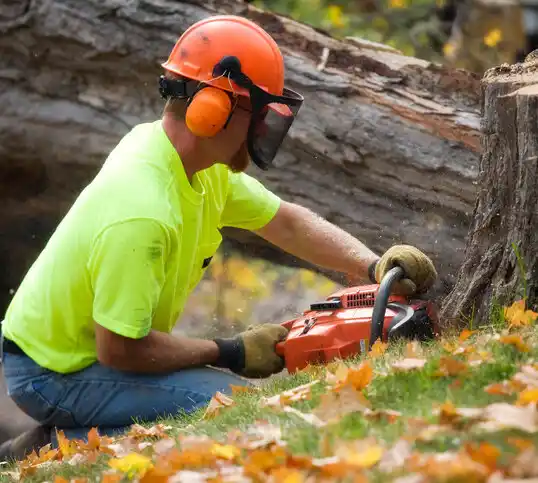 tree services Kings Mountain